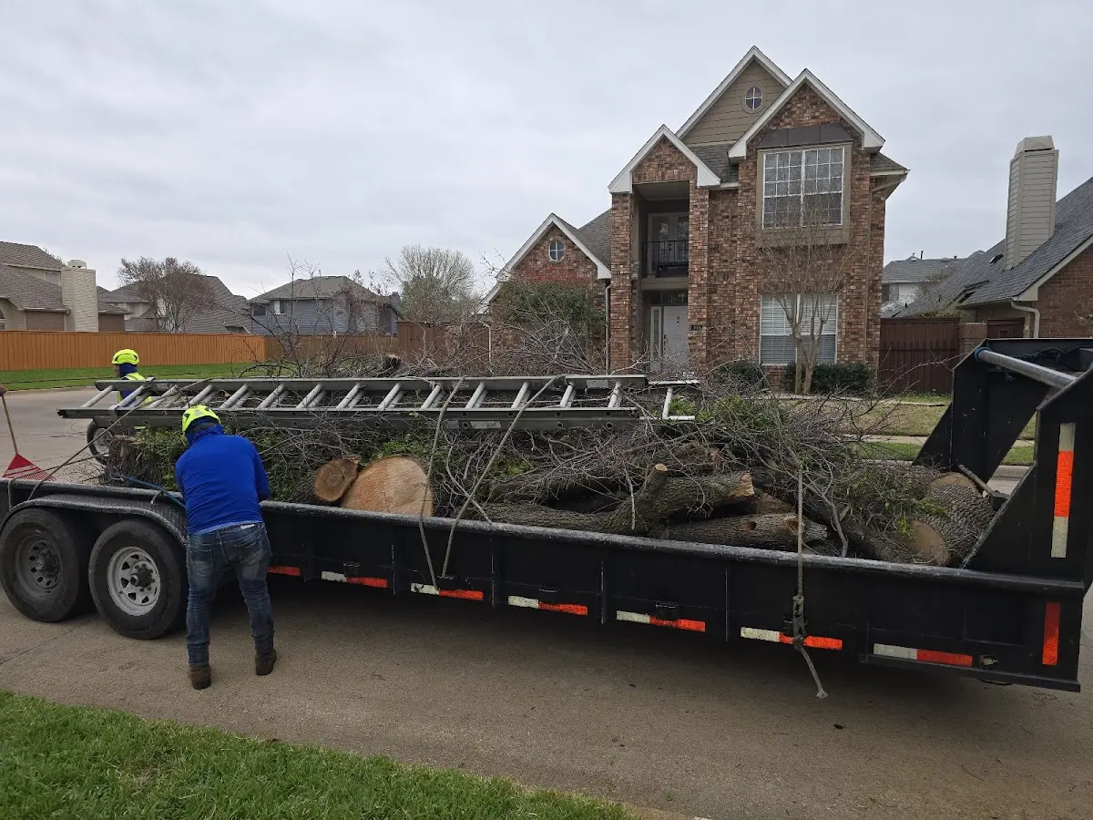 Expert Tree Fertilization with proper safety equipment in Elkhart Lake
